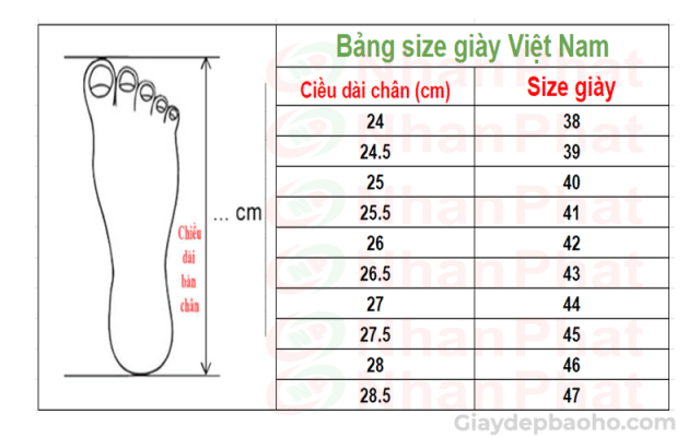 Bảng size giày